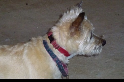 sophiemaxtheo's profile picture. 