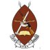 Uganda Peoples' Defence Forces (@MODVA_UPDF) Twitter profile photo