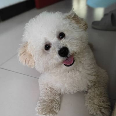 zdy_22's profile picture. 