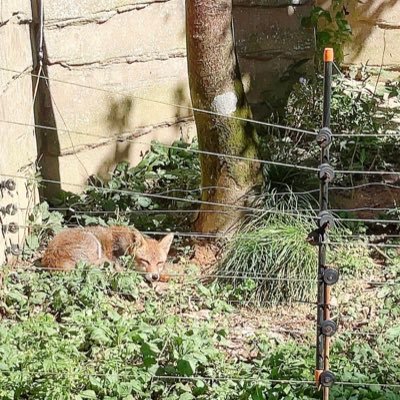 Kozakai_Teruo's profile picture. 使い方が分かりませんが(^_^;)徐々に。。