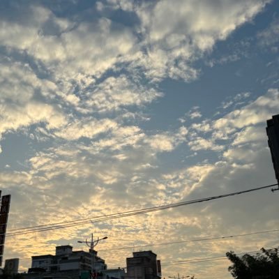 Rice__bb's profile picture. 