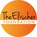 The Elischer Foundation (@TheElischerFdn) Twitter profile photo