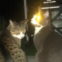 Marcus 🥧 (@marcusew8) 's Twitter Profile