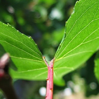 2Thejoshua64060's profile picture. 