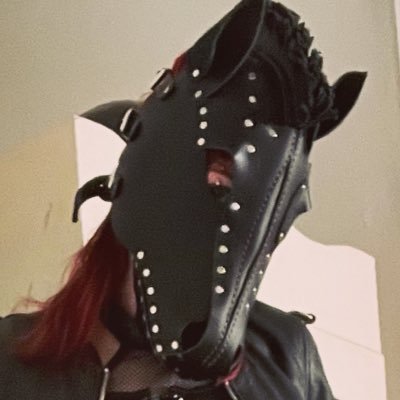 DogAndPonyGal Profile Picture