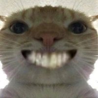 plathypus (@phagopsytes) 's Twitter Profile