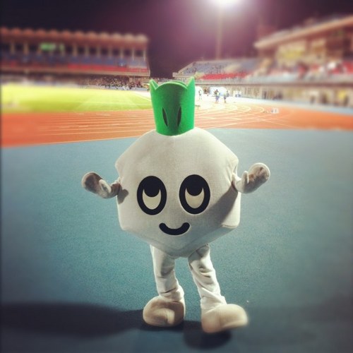 mizgon's profile picture. 川崎サポです。サッカーと音楽とLEGOにハマっています。柴犬好きです。宮崎生まれです。林檎班とフロンターレ後援会歴が長いです。林檎班先行で埼玉。ozkn、武道館は最後の最後に立ち見席。