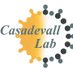 Casadevall_Lab (@casadevall_lab) Twitter profile photo Casadevall_Lab (@casadevall_lab) Twitter profile photo