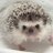 chu_rang_hae's profile image