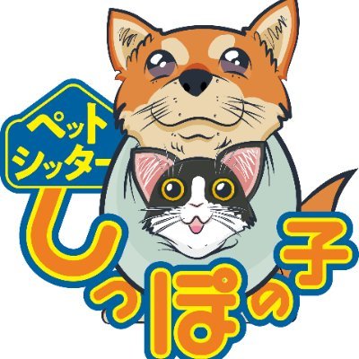 川崎市多摩区を中心にペットとの暮らしのお世話お手伝いします
愛玩動物看護師 愛玩動物飼養管理士
自分がお願いしたいシッター
大阪府和泉市支店オープン！　.

https://t.co/hUEu6oQSeH　.　
https://t.co/GD1DMtsGtS