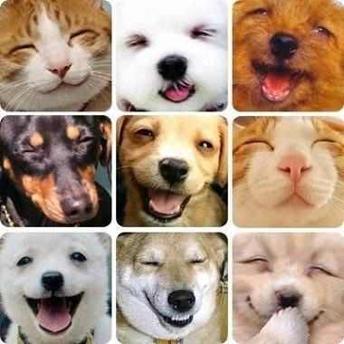 しんがり