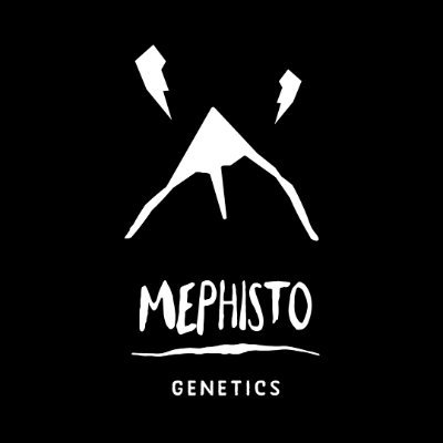 Small company breeding the worlds best Autoflowers. 
#mephistogenetics #mephisto_genetics #meph_heads

https://t.co/pgK1hAw6yK