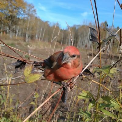 HitoshiYan58330's profile picture. 