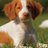 MontereyBayBrit's profile image