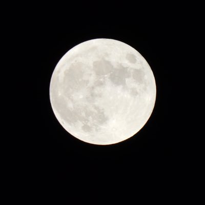ひろしま 社会人 (23)