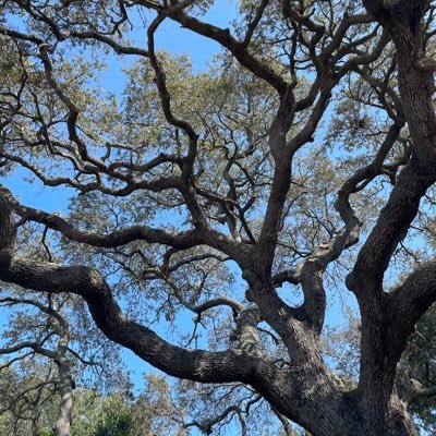 DrJokerMoan's profile picture. Full-time “Amazon FBA seller.” Low-mid 7-figures. Private label. Sole employee. Goal is to outsource everything I hate doing. Failing at goal.