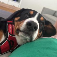 Valou (@valou_els) 's Twitter Profile