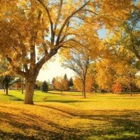 kfactor (@kfactor865) 's Twitter Profile Photo kfactor (@kfactor865) 's Twitter Profile Photo