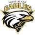 Northeast Eagles U13B (@EAGLESU13B) Twitter profile photo