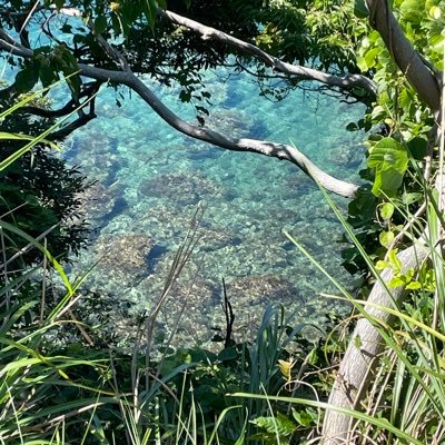 VjyXpov3My29830's profile picture. 2025/11/11〜 プロスピa 阪神純正