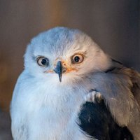 Livinteresting (@livinteresting) 's Twitter Profile Photo