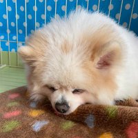 ☆MooN☆@ (@muu4122) 's Twitter Profile Photo ☆MooN☆@ (@muu4122) 's Twitter Profile Photo