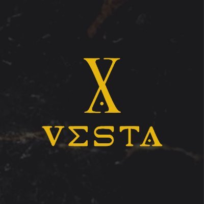 Unlock Real Estate Investment with Vesta Tokenizing Your Future! Choose a project - invest - receive your ROI.