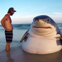 Murilo (está com muito calor)👎 (@tem_o_gotejo) 's Twitter Profile