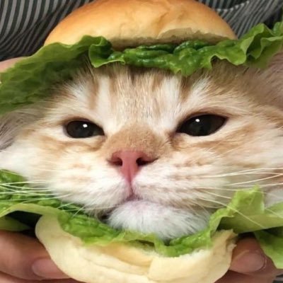 あさんのプロフィール画像