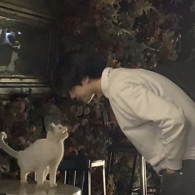 ✧.* kept covering real feelings by being aggressively sarcastic 𓆩ᥫ᭡𓆪