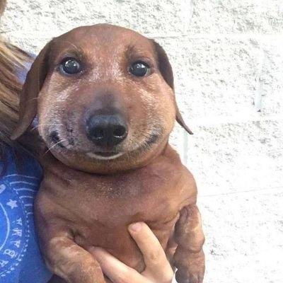 mittensrore's profile picture. beda orang yang megang