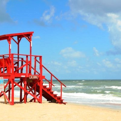 elvira4081's profile picture. 