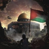 Ahmed Ashraf (@ahmedashra2195) 's Twitter Profile