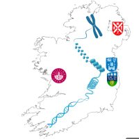 All-Ireland Chromatin Consortium(@irelandchrom) 's Twitter Profile Photo