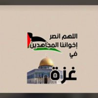 نبض اليمن (@yemen_nabd) Twitter profile photo