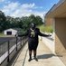 Rammen”Noodles”Payne (@payne_rammen) Twitter profile photo Rammen”Noodles”Payne (@payne_rammen) Twitter profile photo