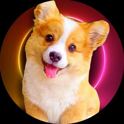 mycorgiworld Profile