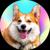 I Love Corgi(@Corgiclub42) 's Twitter Profile Photo