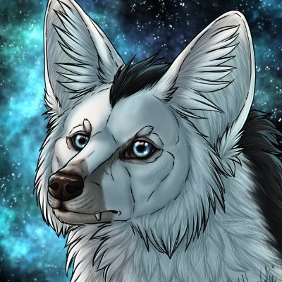 Narncolieさんのプロフィール画像