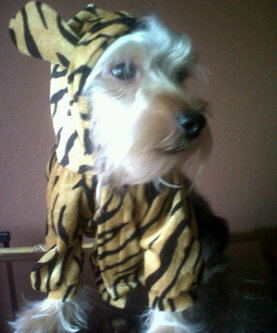 gunyaadv's profile picture. 