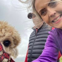 Gemma Murray (@ablogginghack) 's Twitter Profile
