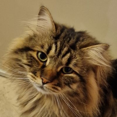 cringe leftist, psychotic diasporoid • he/him • Tweets mostly in English and Русский