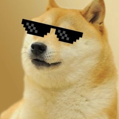 $DOGE IT💯 FACTOID💯🐕🪙🚀 LFG🗽🚀🚀🔥🔥🔥yowZer🔥🔥🔥