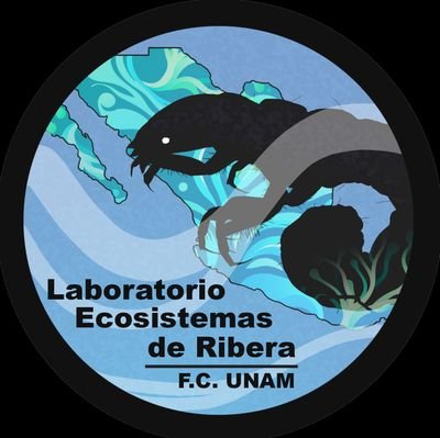 Facultad de Ciencias, UNAM 🇲🇽
Laboratorio de Ecosistemas de Ribera 💧🌲
Divulgación y conservación de la Cuenca de México.
eribera.unam@gmail.com