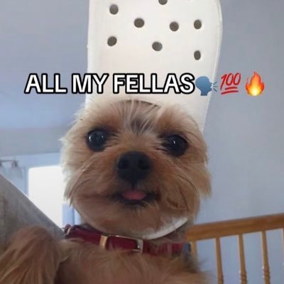 CrusadesDropmap's profile picture. OCE Dropmap for Grands