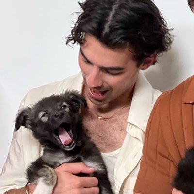 need joe jonas puppy shoot stat