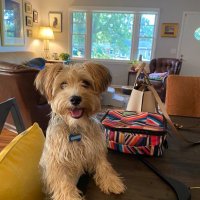 jennybethsfrontbutt (@mctaintlee) 's Twitter Profile Photo