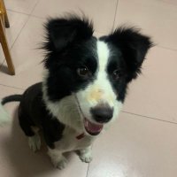 DavidMcQ5288 (@davidmcq) 's Twitter Profile