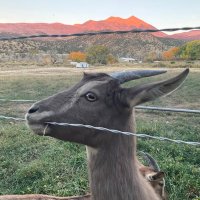 Tom Neider (@neider_tom) 's Twitter Profile