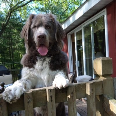 technopat270827's profile picture. 